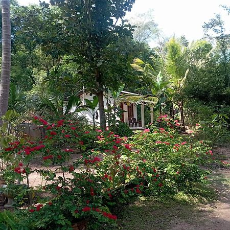 Sanjana Home Stay Хабарана Экстерьер фото