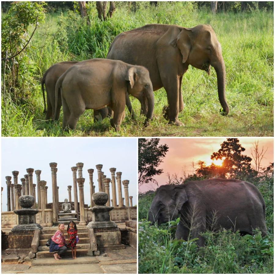 Sanjana Home Stay Хабарана Экстерьер фото